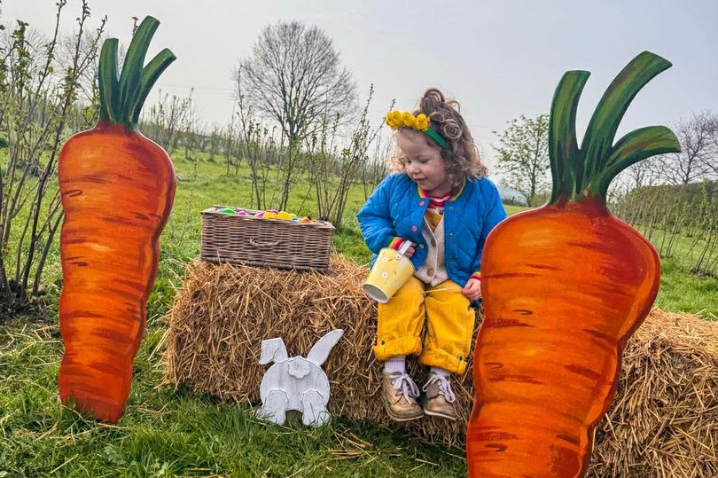 Popular farm near Manchester launches Easter egg hunt for 2026