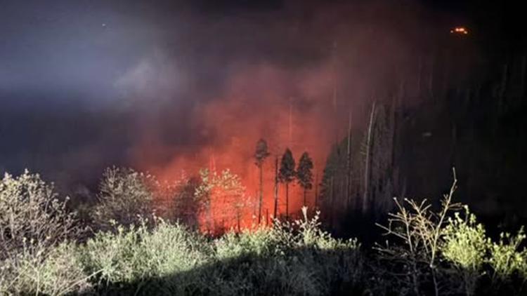 Modesto man arrested on suspicion of starting 'Deep Fire' in El Dorado ...