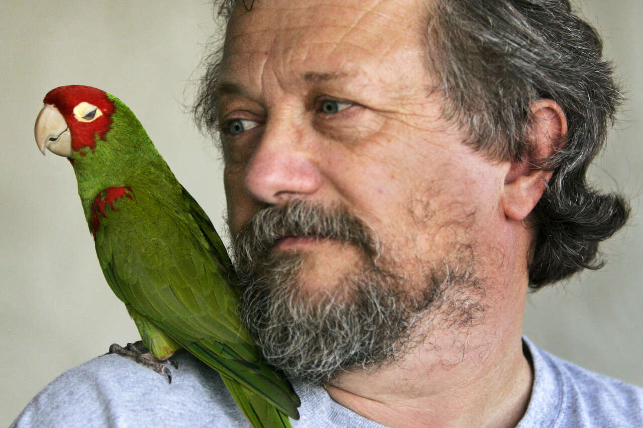 The man who made San Francisco's wild parrots famous dies at 74