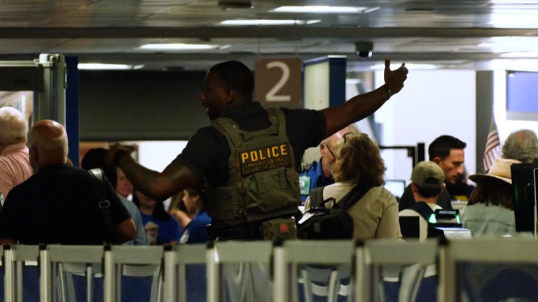 Which airports have ICE officers been sent to? Here's what to know