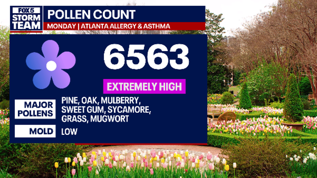 Atlanta weather: Cooler temps today, pollen count still high
