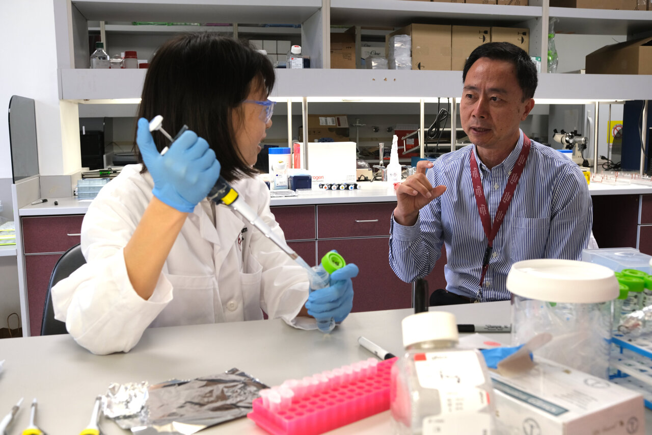 Scientists discover new genetic disease that causes premature aging and ...