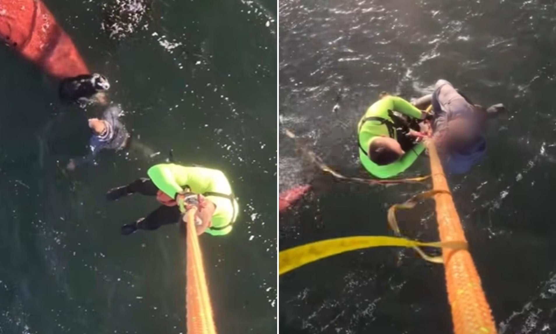 California woman meets tragic end after suffering freak accident while ...