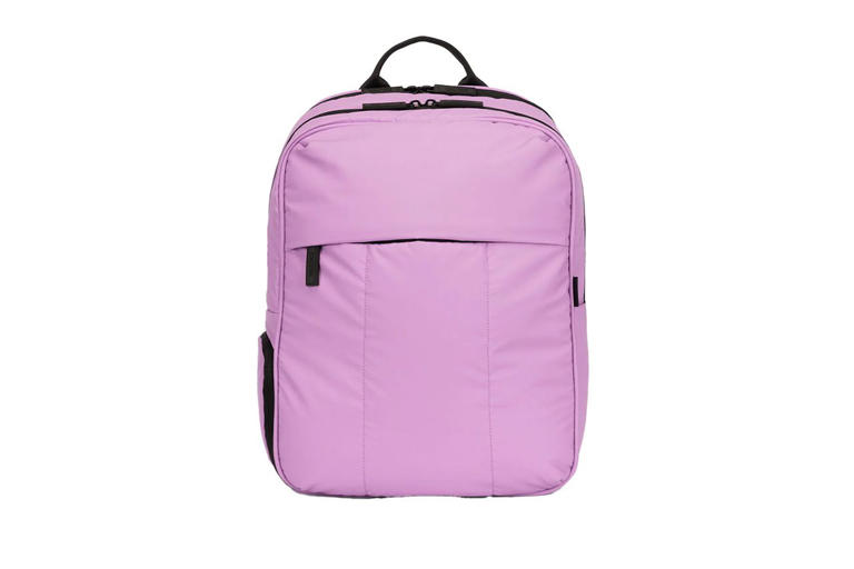 Calpak just launched a canvas collection starting at $44—totes, wallets ...