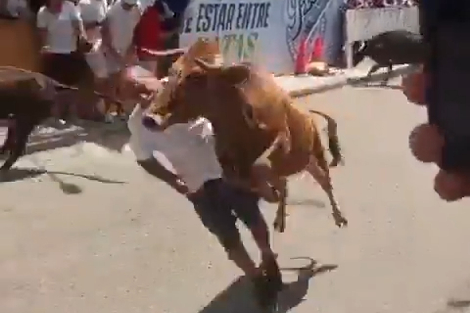 Wild video shows moment a raging bull knocks out festivalgoer with ...