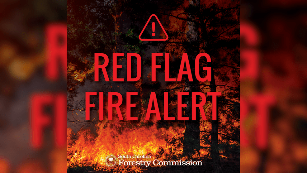 SC Forestry Commission issues statewide red flag fire alert