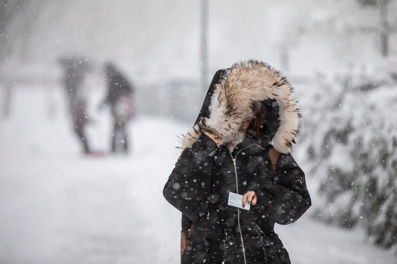 Up to 25 cm of snow possible as wintry storm blasts Alberta