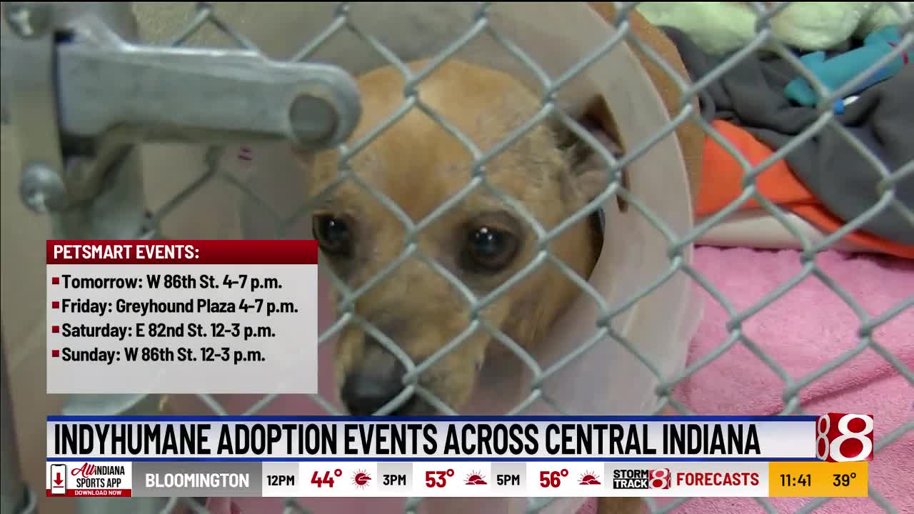 IndyHumane adoption events across central Indiana