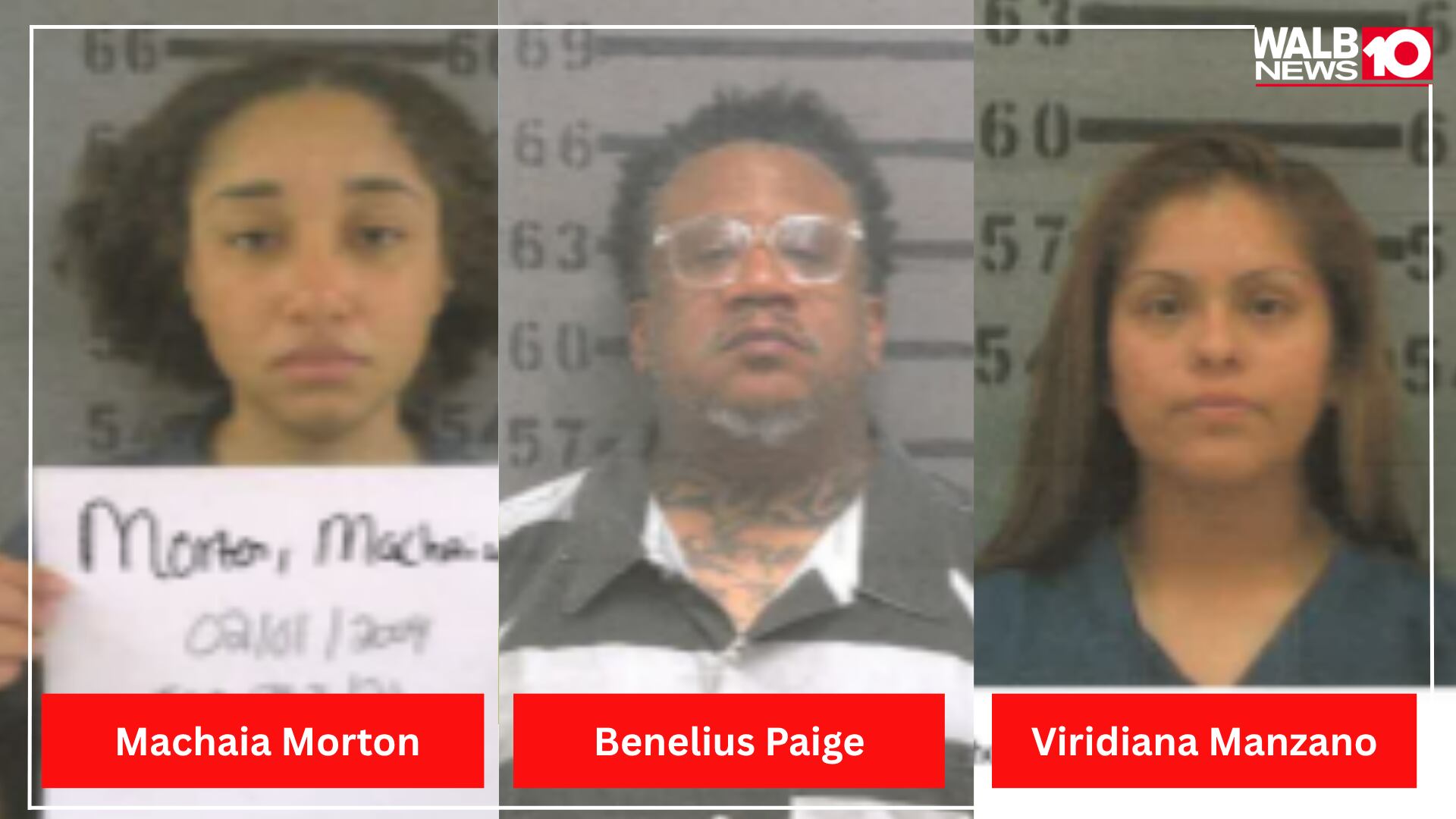 Multiple arrested after major drug bust at two Albany locations