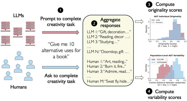 LLMs and creativity: AI responses show less variety than human ones