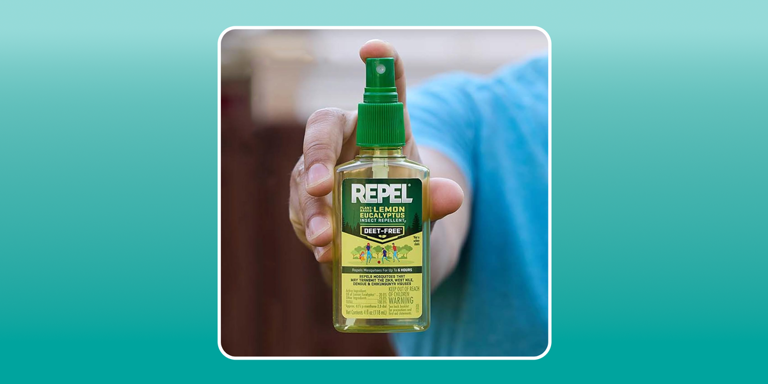 Bug zappers kill bugs—but not always the ones you think
