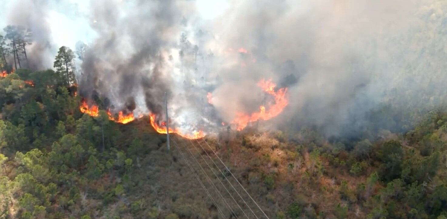 Update: Crews battle brush fire at Gulf State Park and near Waterville
