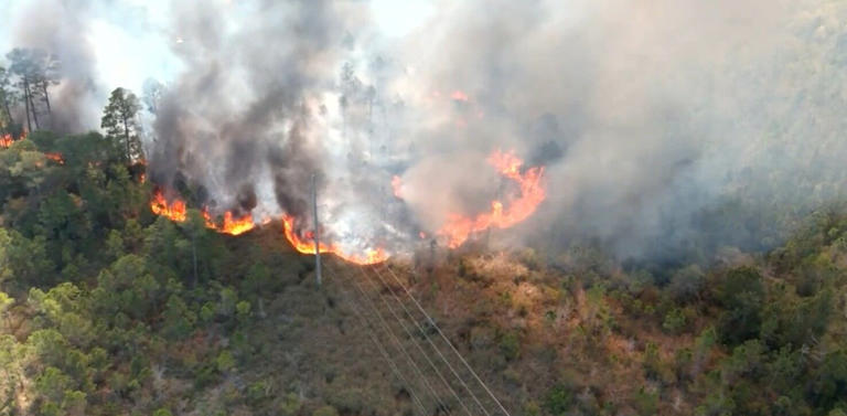 Update: Crews battle brush fire at Gulf State Park and near Waterville
