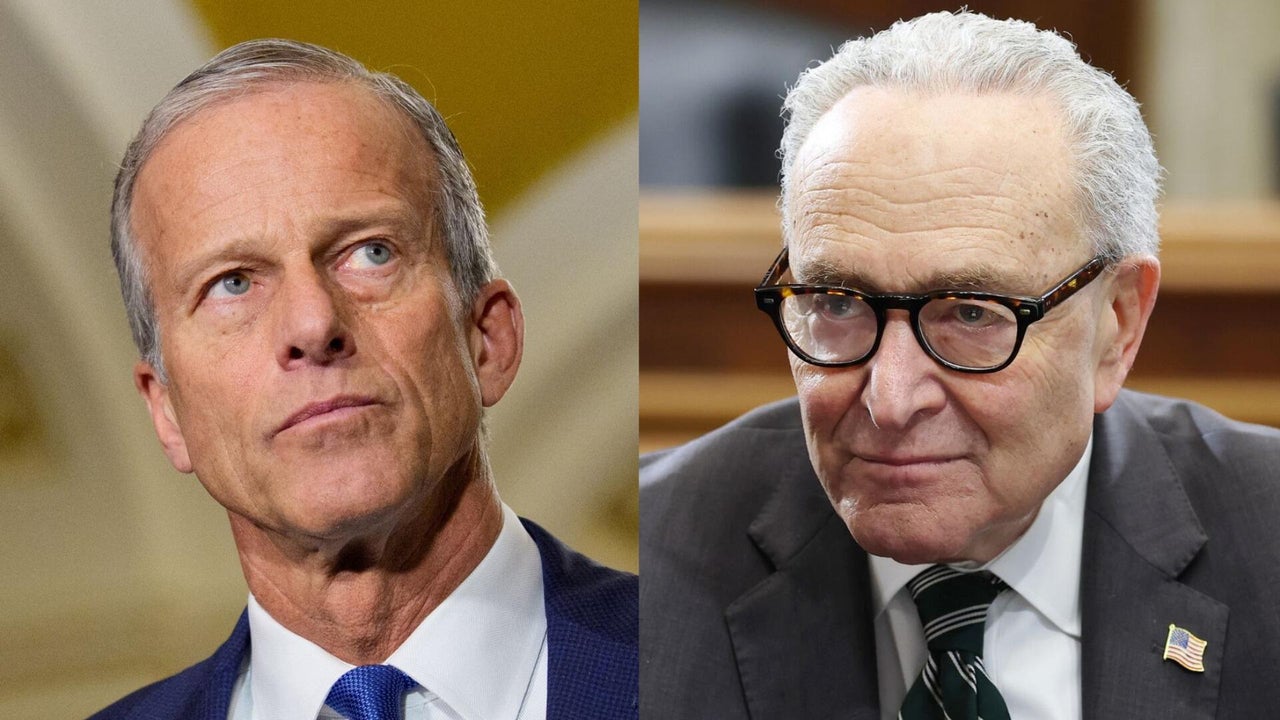 Here's what's in the potential Senate proposal to end the DHS shutdown