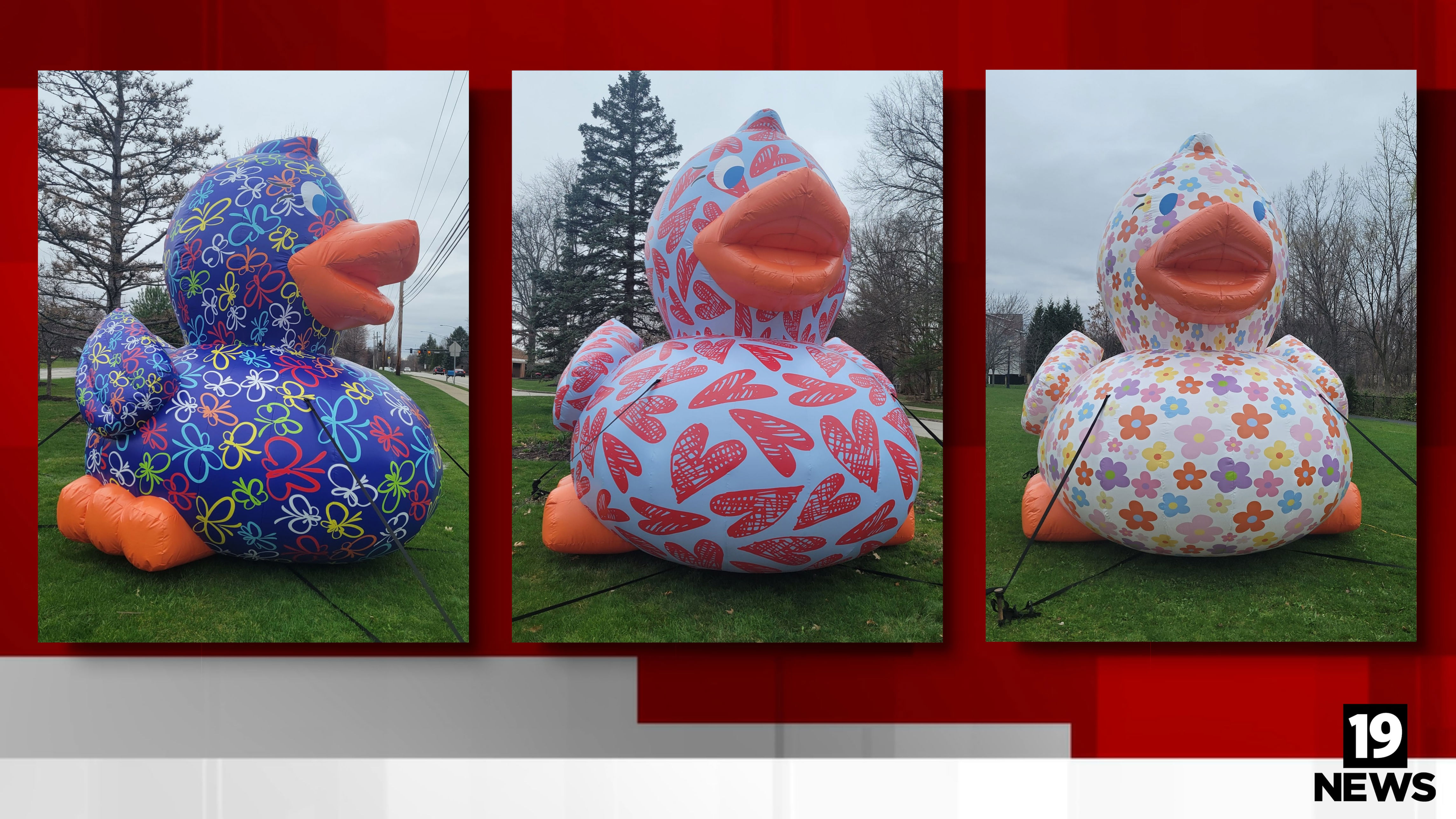 12-foot-tall ducks splash down in Hudson for Ohio Rubber Duck Dash Hunt