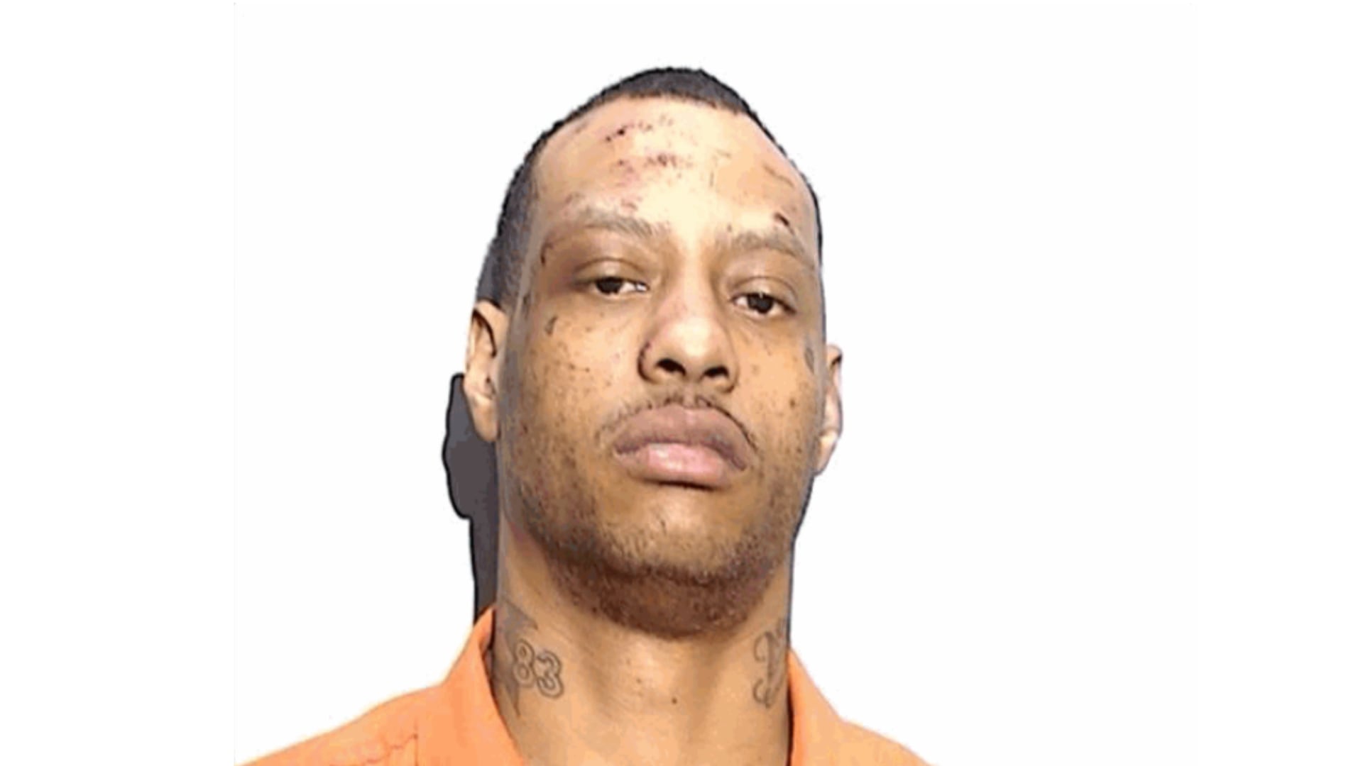 Toledo man accused of shooting cars, throwing feces on officers, sentenced