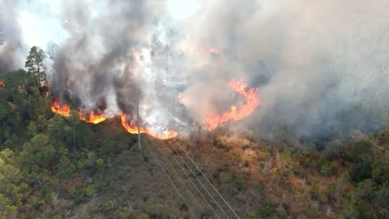 Gulf Shores State Park fire: Fire Department on scene; scary photos of ...