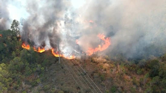 Gulf Shores State Park fire: Fire Department on scene; scary photos of ...