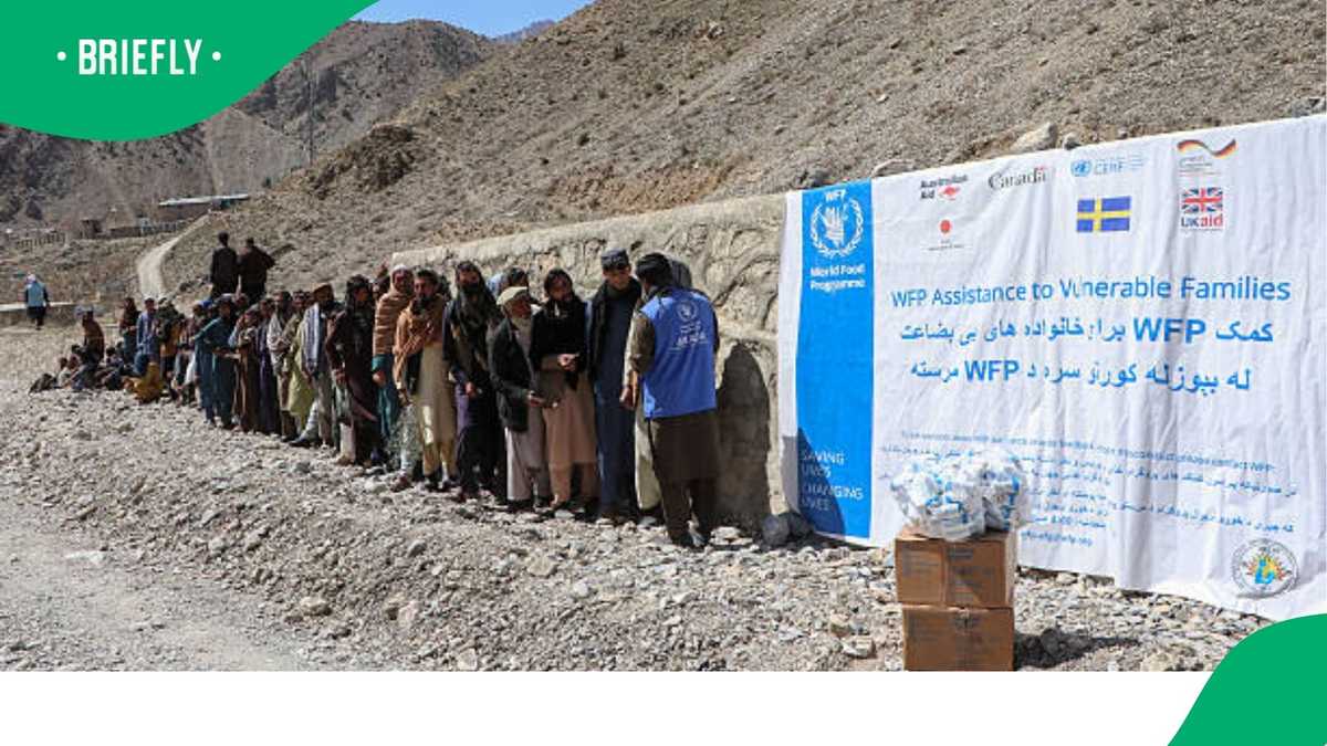 Global food crisis looms as 45 million more face hunger, WFP says