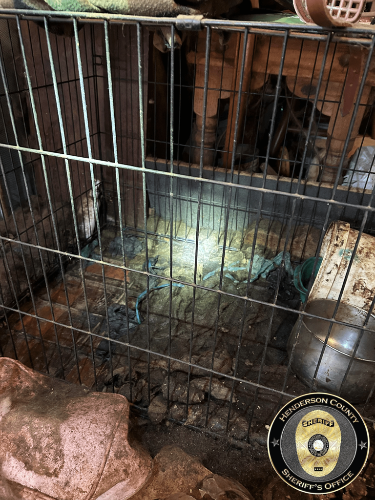 Henderson County man charged with animal cruelty