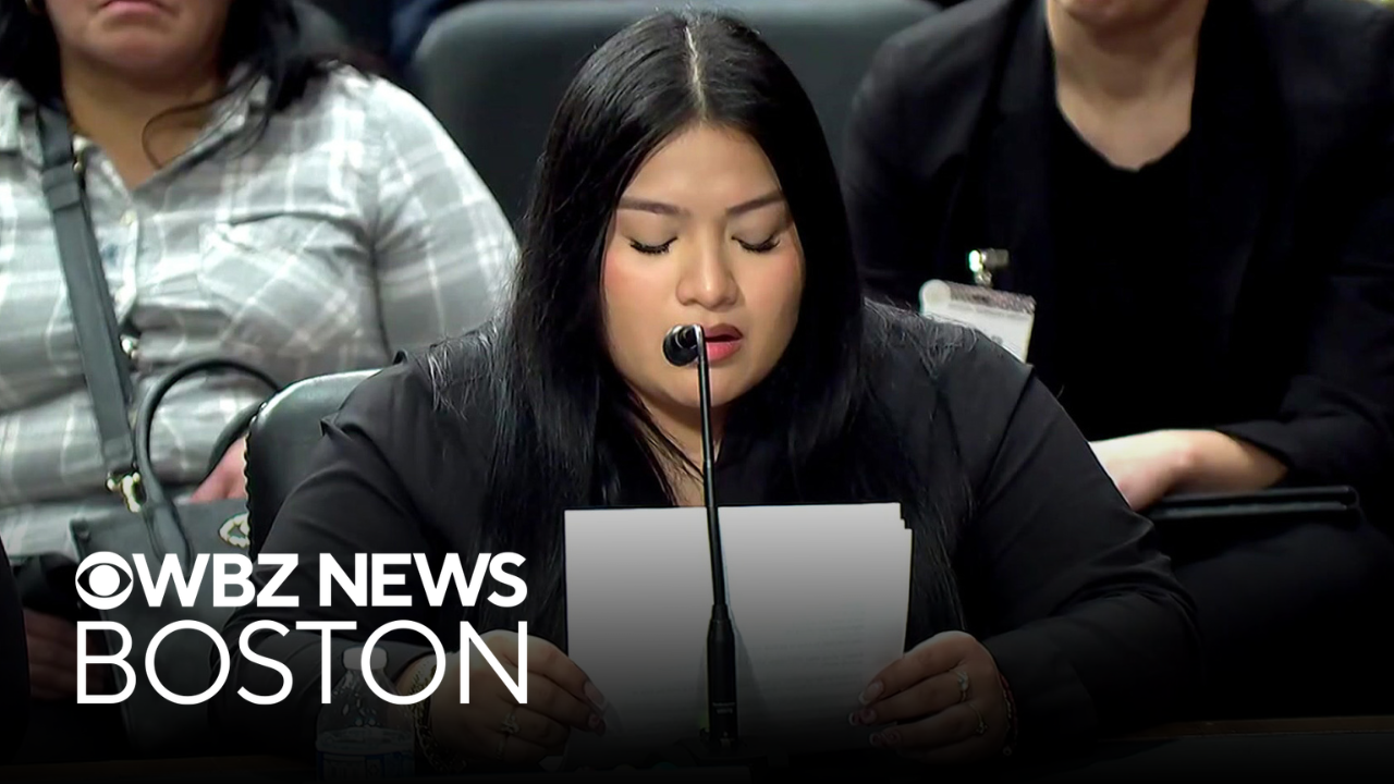Chelsea teen testifies before Congress about family's encounter with ICE