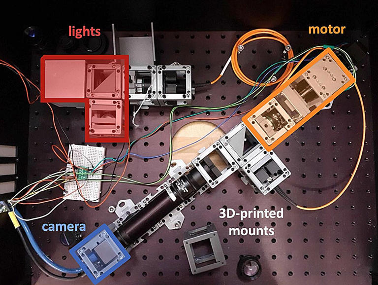 Single-cell imaging and machine learning reveal hidden coordination in ...
