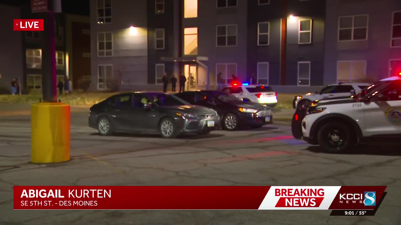 Armed person shot by police during Des Moines welfare check; another ...