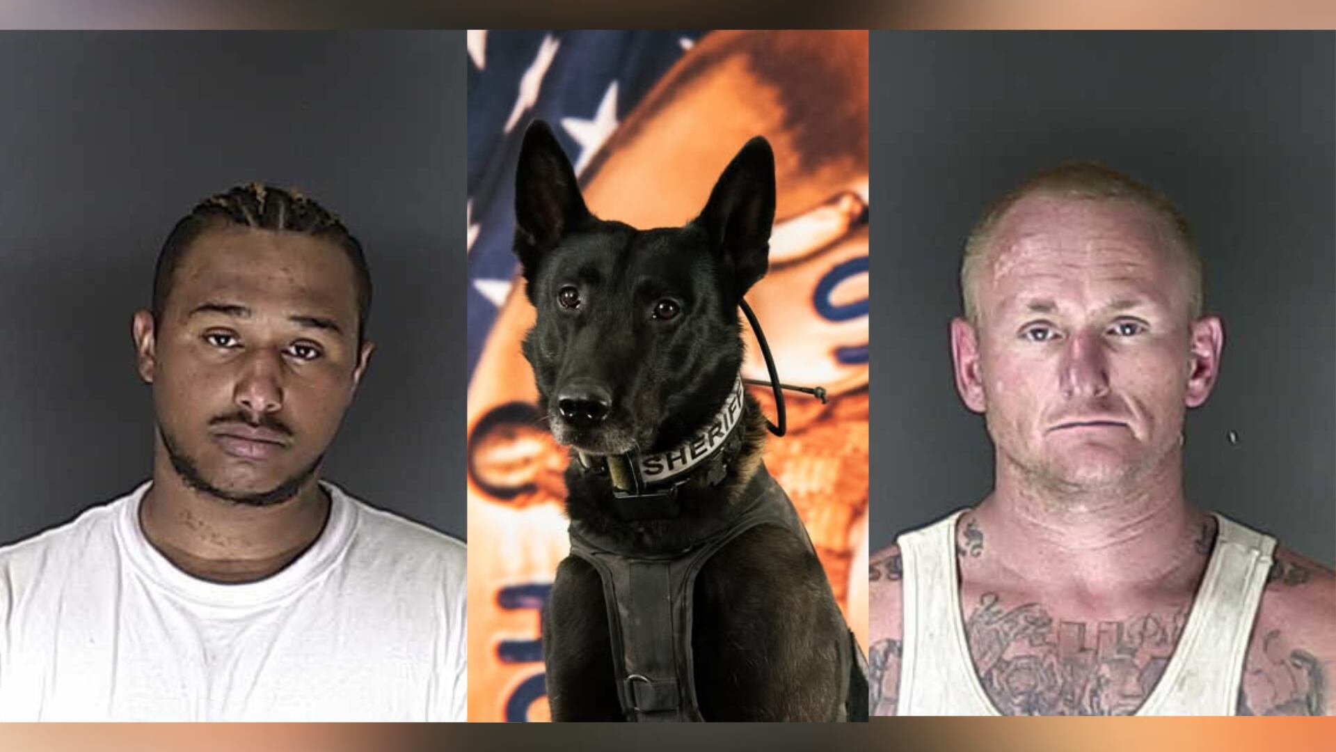 Assault suspect arrested in El Paso County with the help of K9 and drone