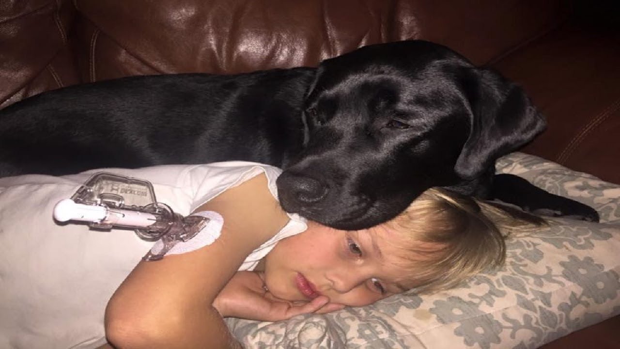 This mom’s dog knew something was very wrong with her son – and what the pooch did saved his life<br>