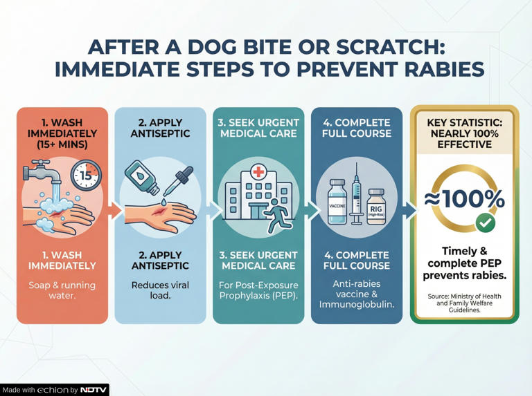 9 year-old dies 6 months after skipping rabies vaccine: Why not getting ...