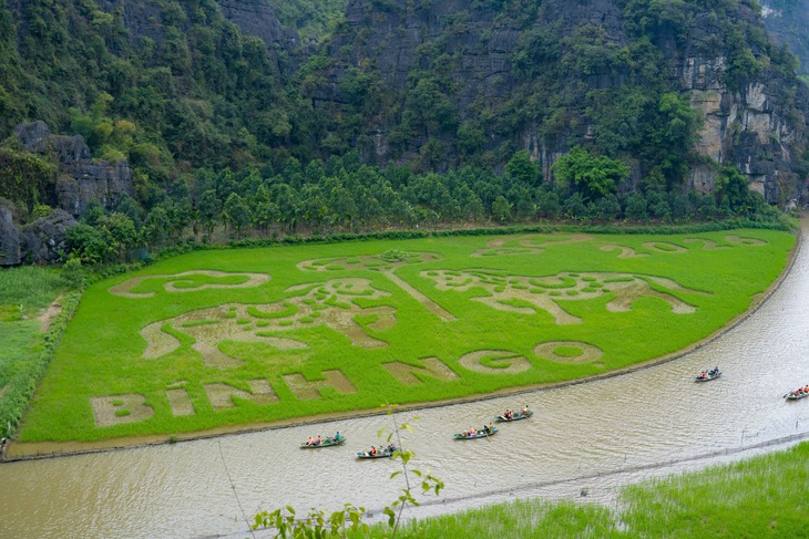 ‘Song mã chầu báo công’ bất ngờ xuất hiện trên cánh đồng lúa Tam Cốc