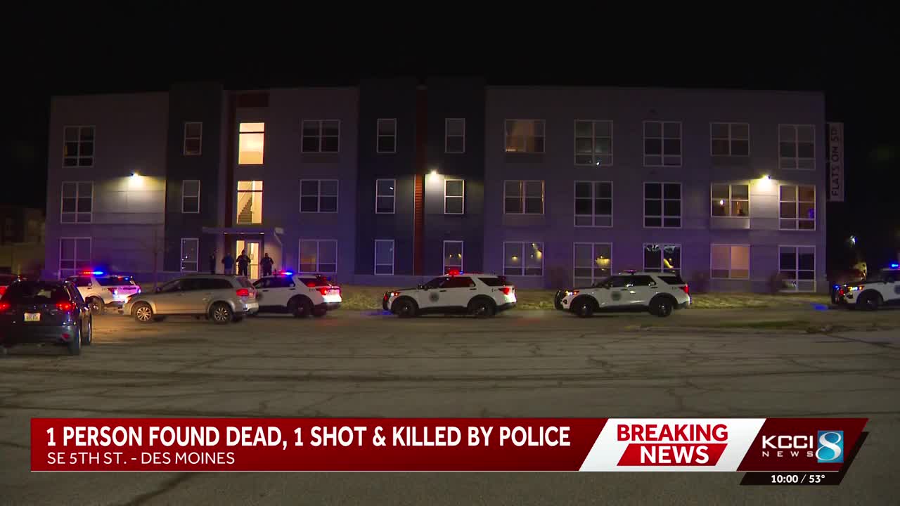 Armed person shot by police during Des Moines welfare check; another ...
