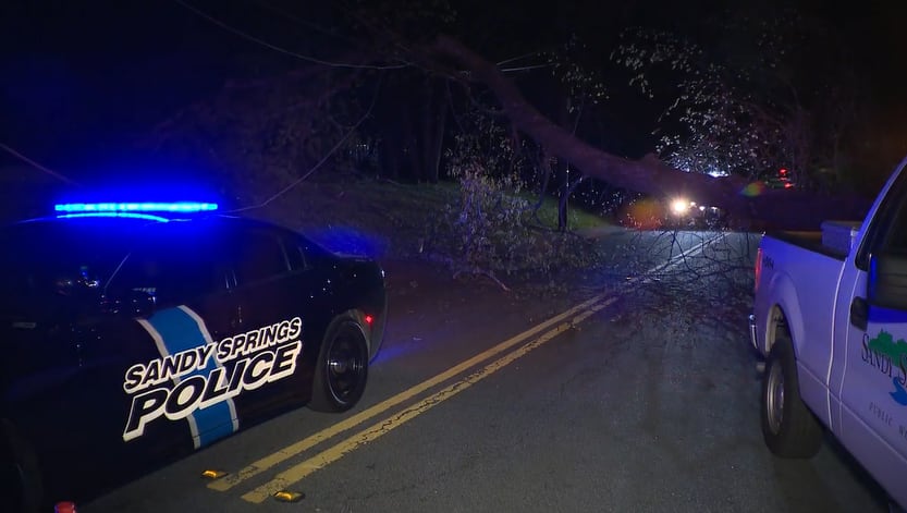 Power knocked out for hundreds when massive tree falls on power lines