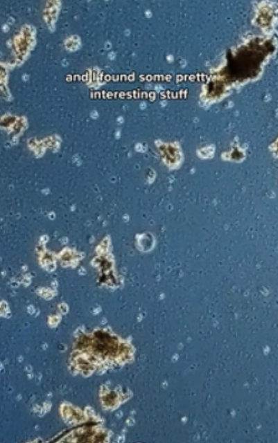 Watch science in action, stunning reactions you have to see
