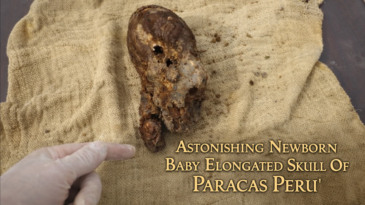 Rare Paracas baby skull discovery reveals elongated cranial mystery in Peru