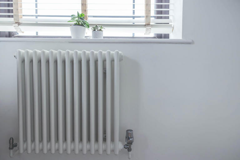 Can you bleed a radiator or change a bulb? 15 basic home jobs people ...