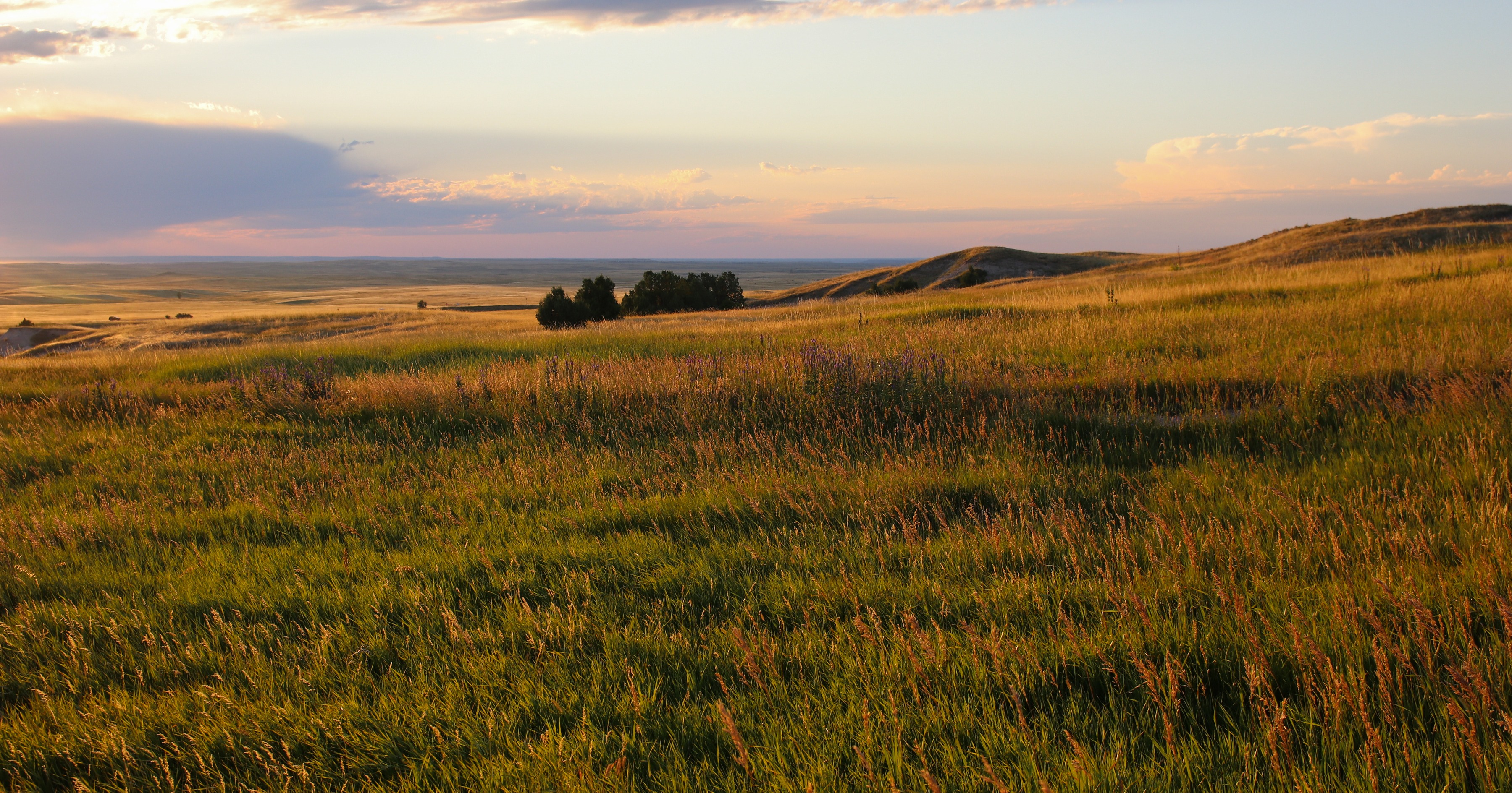 While not trendy, SD college students take up rangeland management