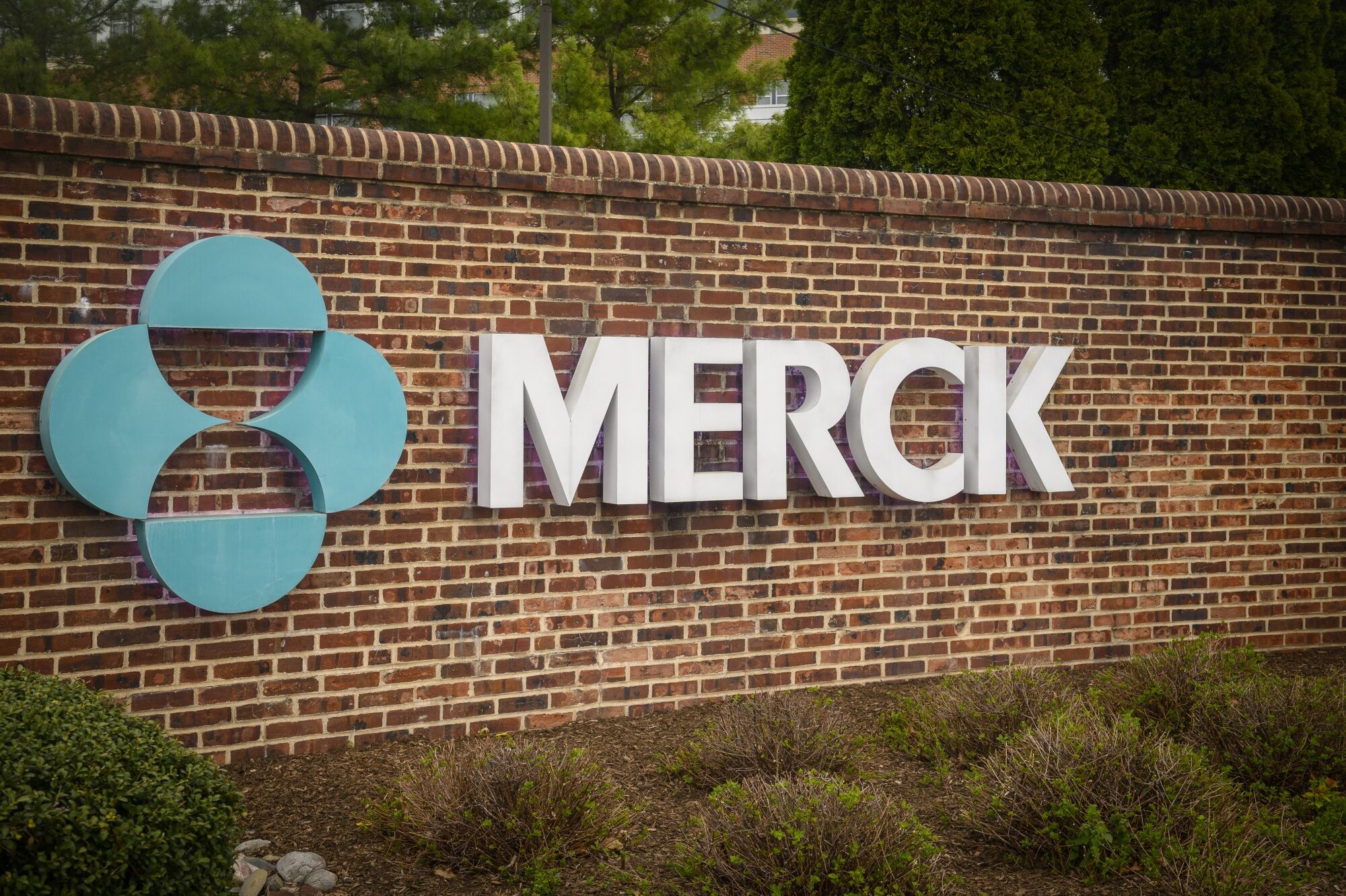 Merck nears deal to buy Terns Pharmaceuticals