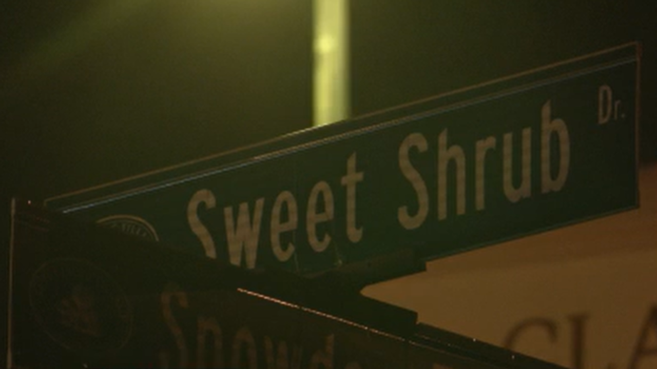 Suspect in custody after teenage boy stabbed in Clarksburg, police say