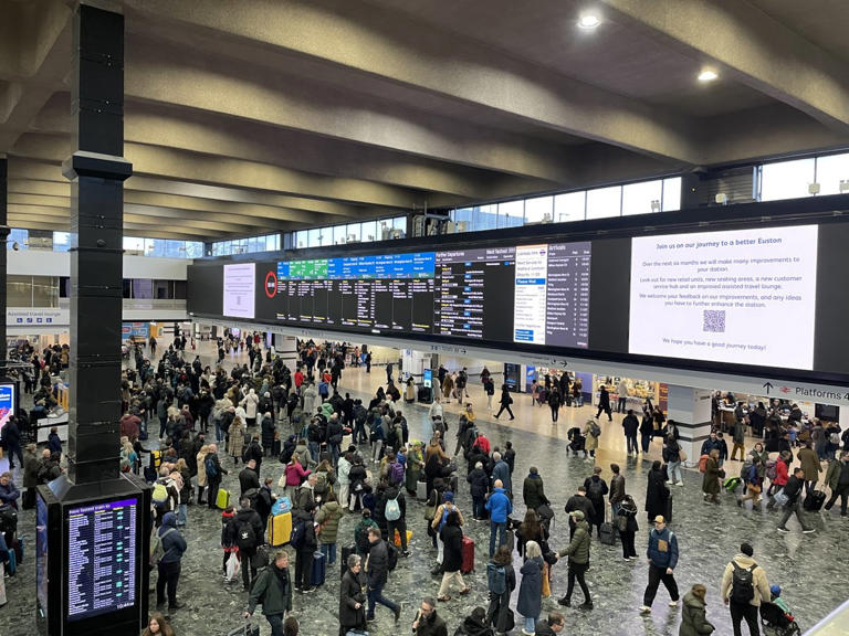 Euston trains disrupted after tree falls into railway line