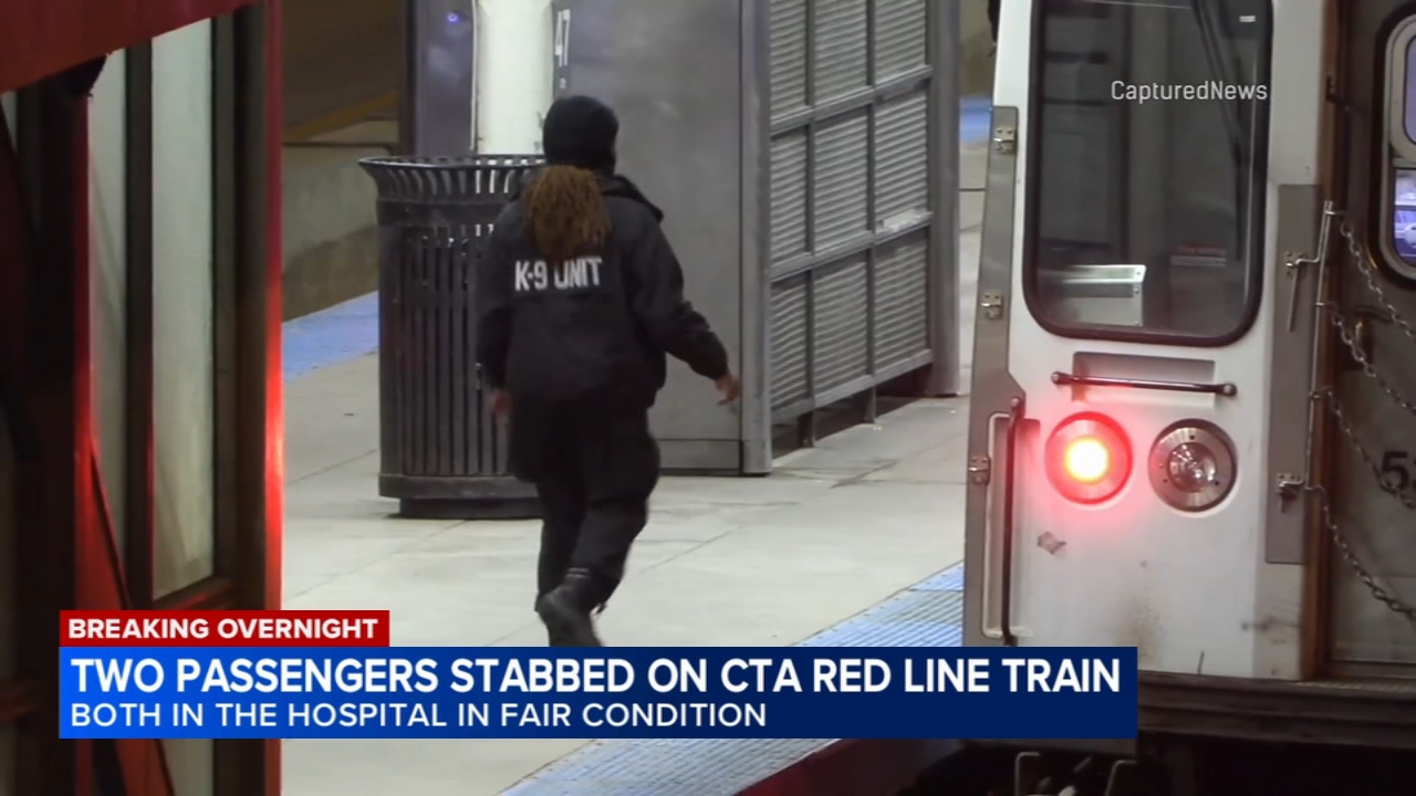2 stabbed on CTA Red Line train on South Side, Chicago police say