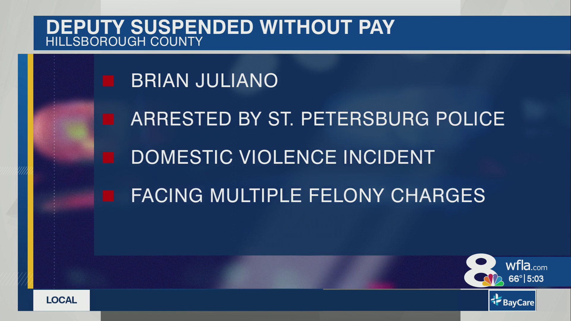Hillsborough County deputy faces multiple charges after domestic ...