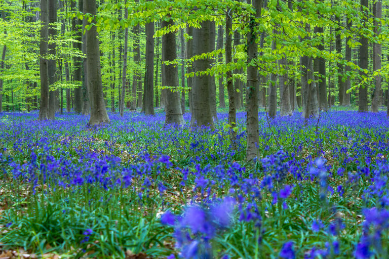 ©Shutterstock/Sander-photography