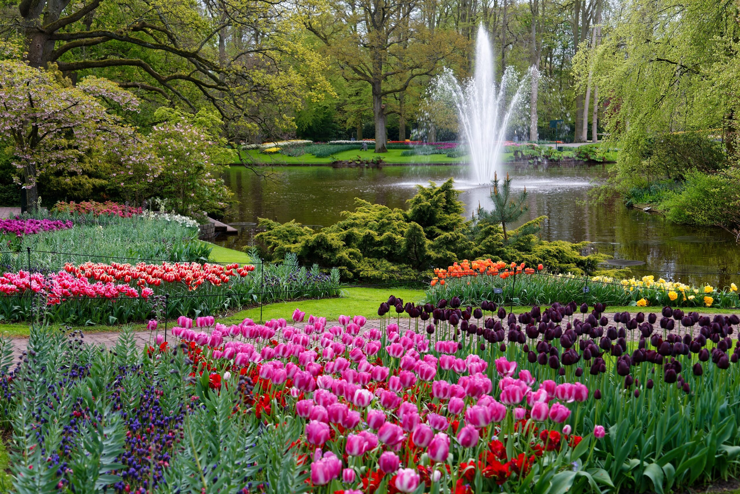 The 5 most beautiful places to see flowers blooming in Europe this spring
