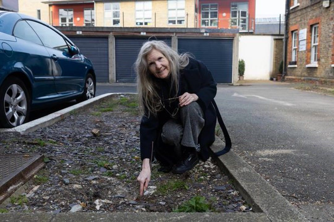 Chelsea residents describe estate as 'Rat City'