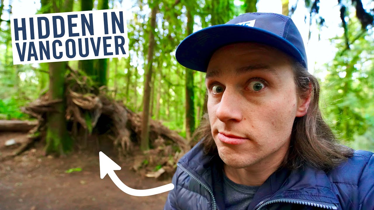 This forest was hiding something for 12 years... nobody told anyone