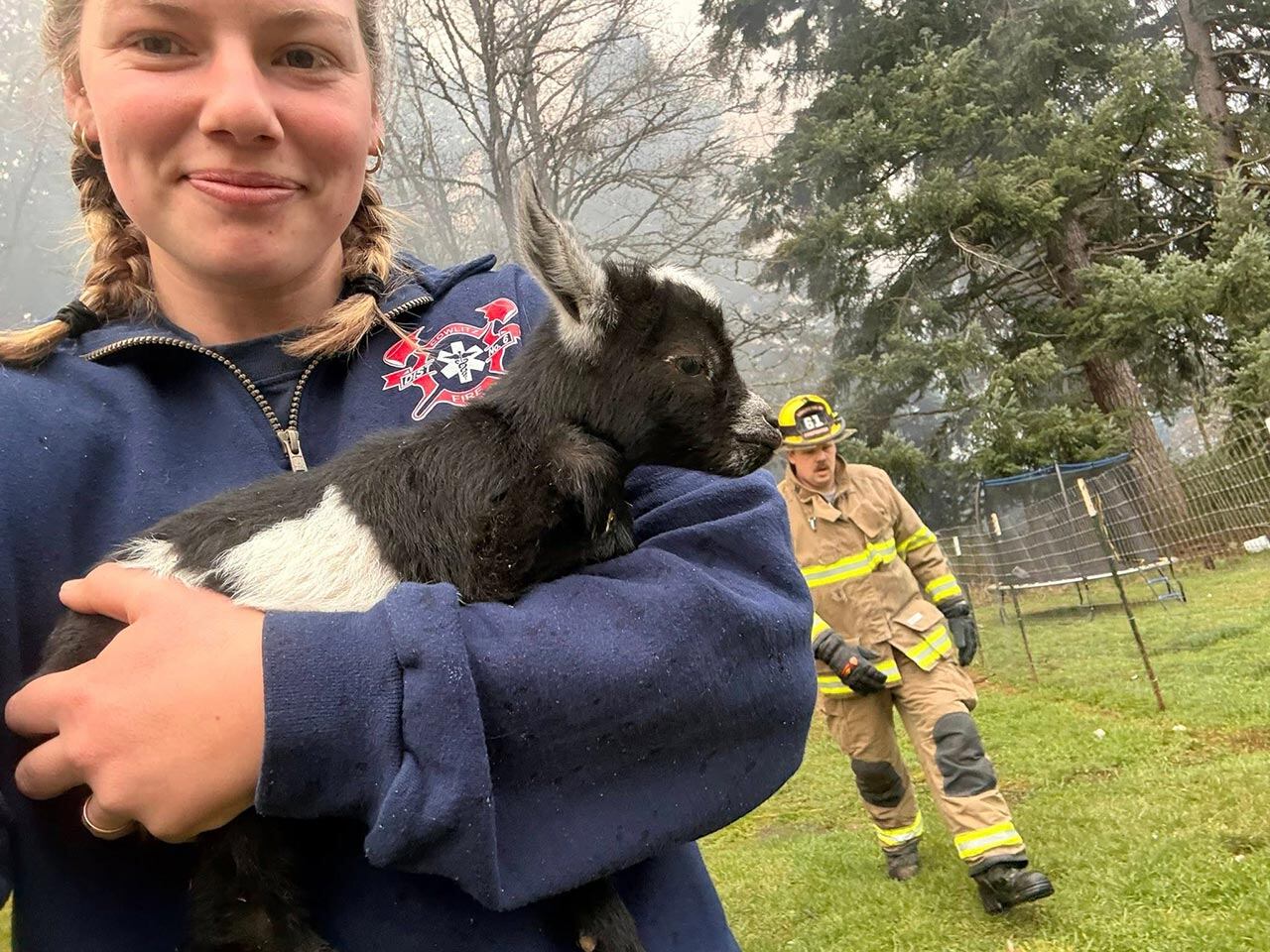 Baby goats safe after barn fire in Cowlitz County