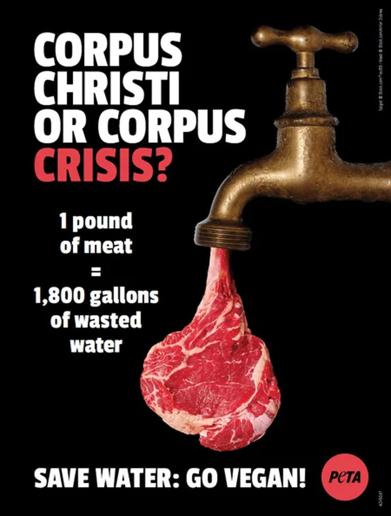 Corpus Christi could run dry by 2027 - PETA says go vegan