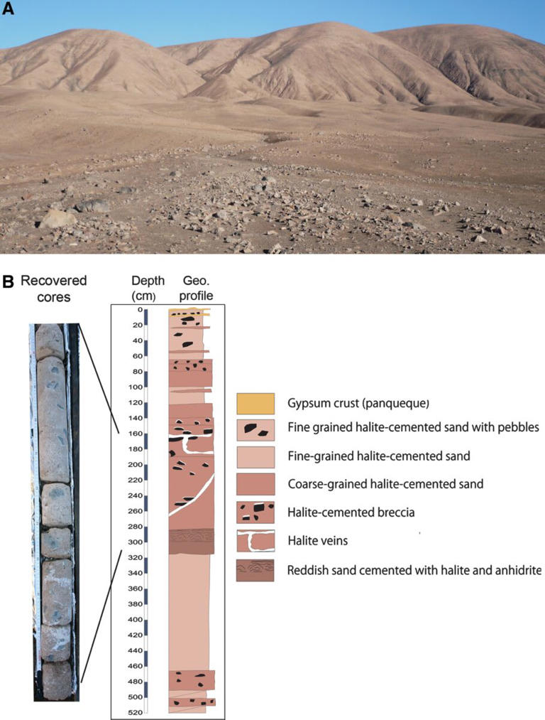 Scientists found a hidden oasis two meters below Earth's driest desert