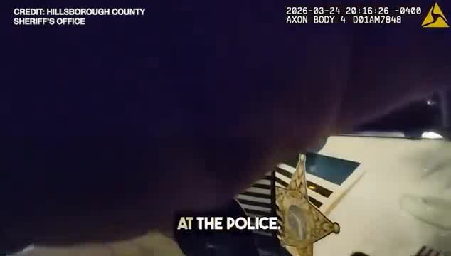 Suspect shot by Hillsborough deputy after firing at least 3 bullets ...